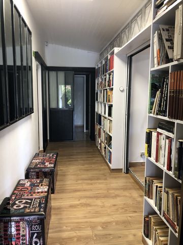 photo no. 11