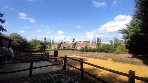 photo no. 14