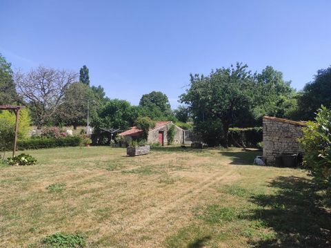 photo no. 1