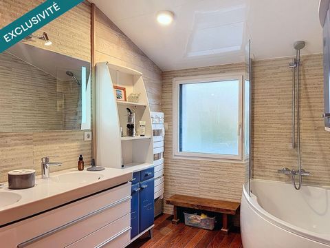 photo no. 11