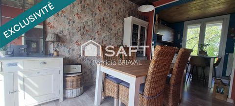 photo no. 11