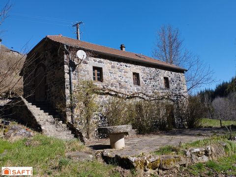 photo no. 2