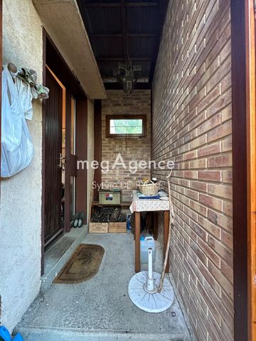 photo no. 12