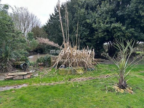 photo no. 13