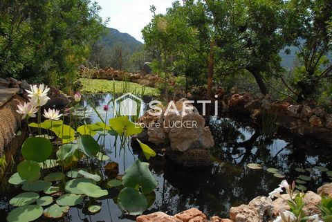 photo no. 12