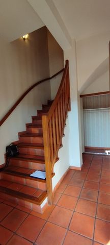 photo no. 11