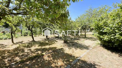 photo no. 13
