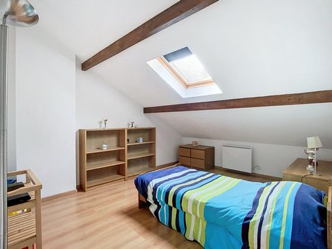 photo no. 11