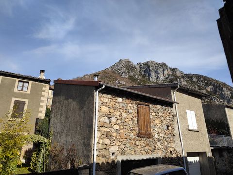 photo no. 1