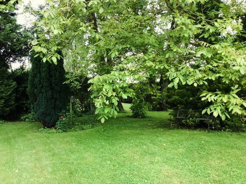 photo no. 14