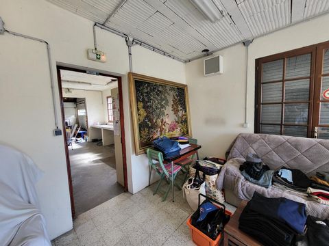 photo no. 14