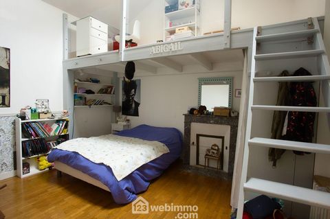 photo no. 6