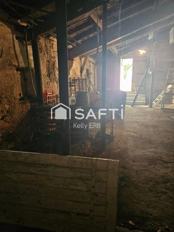 photo no. 6