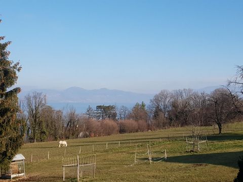 photo no. 13