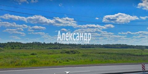 1700633 В продаже земельный участок 100 соток (1га) в Кировском районе Ленинградской области. Категория земель: с/х назначения. Разрешенное использование: для с/х производства. Участок ровный , правильной прямоугольной формы. В непосредственной близо...