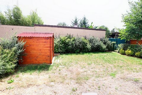 photo no. 8