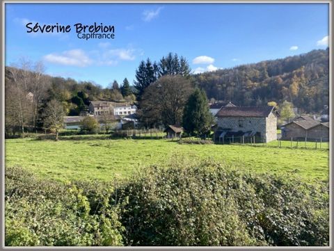 Terrain à vendre de 2545 m² CELLES SUR DUROLLE (63)