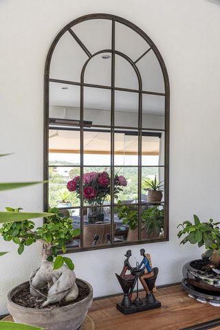 photo no. 11