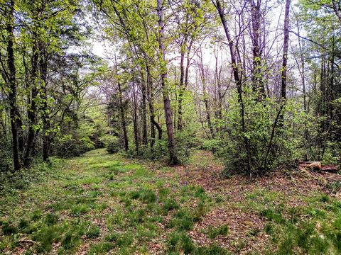 photo no. 13