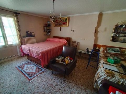 photo no. 6
