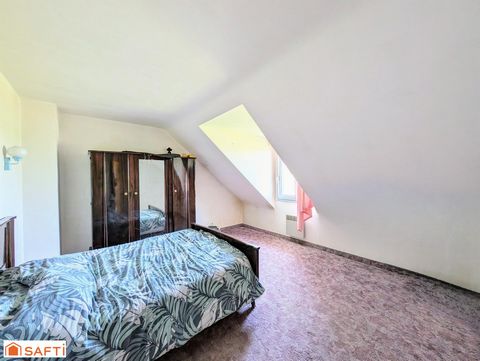 photo no. 9