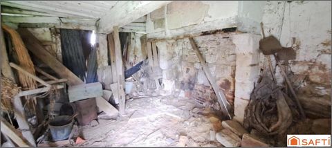 photo no. 2