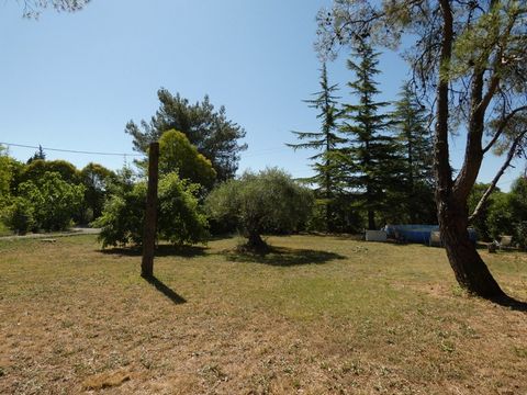photo no. 1
