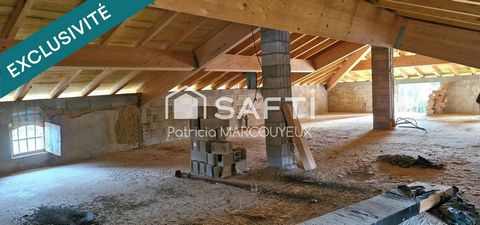 photo no. 11