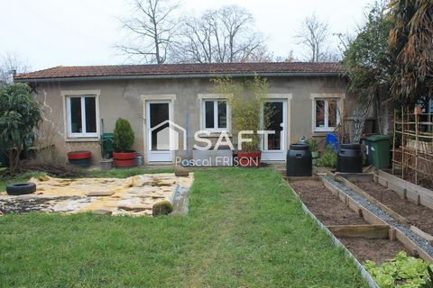 photo no. 19