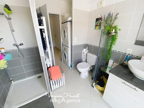 photo no. 12