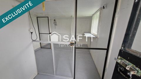 photo no. 14