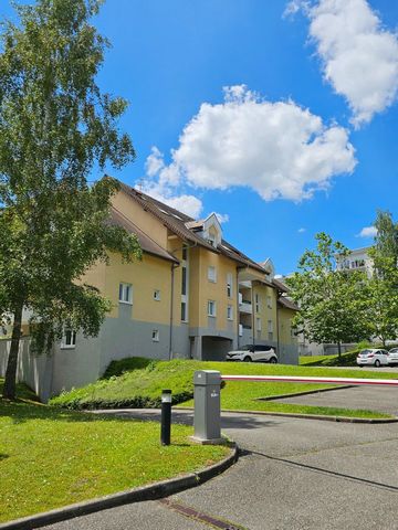 photo no. 2