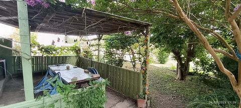 photo no. 4