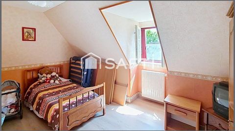 photo no. 11