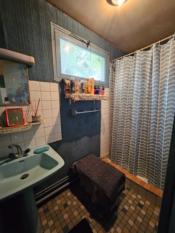photo no. 13