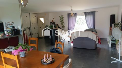 photo no. 2