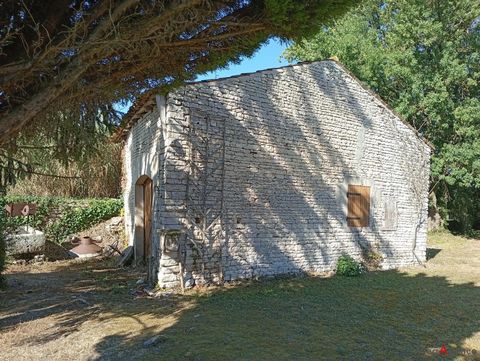 photo no. 15