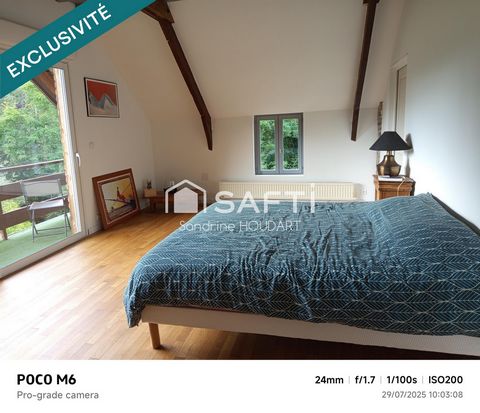 photo no. 14