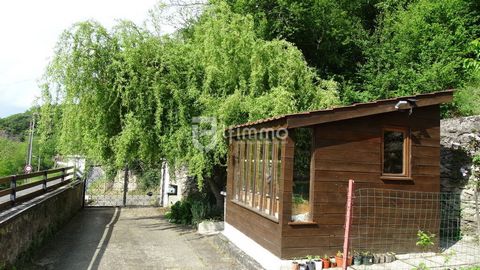 photo no. 6