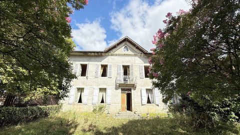 photo no. 4