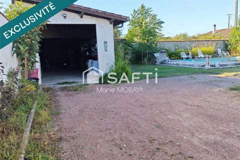 photo no. 11