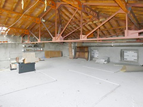 photo no. 6