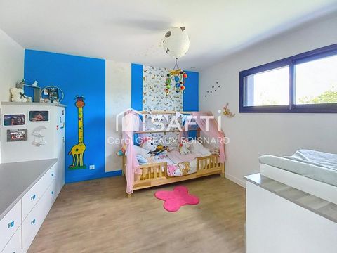 photo no. 13