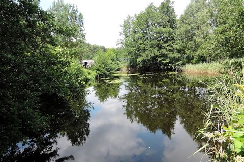 We invite you to the agritourism farm in Kołczewo located directly next to the Wolin National Park. We offer 1-5 person rooms with bathrooms. Guests have access to a communal kitchen, where you can prepare meals. The plot is surrounded on three sides...