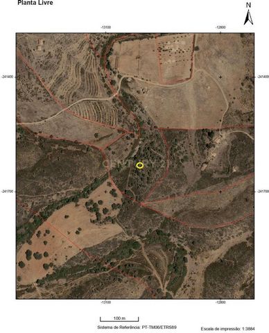Descubra este terreno rústico com 2,5 hectares, ideal para quem procura tranquilidade e contacto direto com a natureza. Composto por cultura arvense e um curso de água, este terreno oferece grande potencial para atividades agrícolas ou de lazer. Cara...
