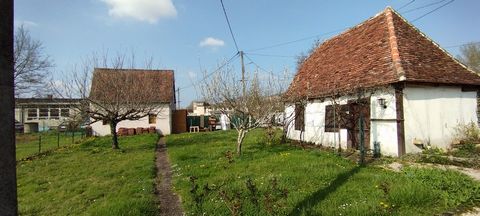photo no. 2