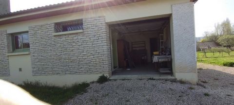 photo no. 11