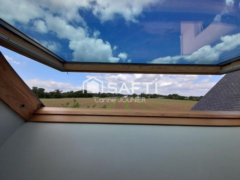 photo no. 10