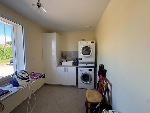 photo no. 9