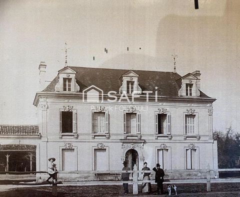 photo no. 10